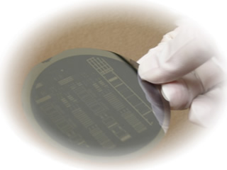 Silicon Wafer